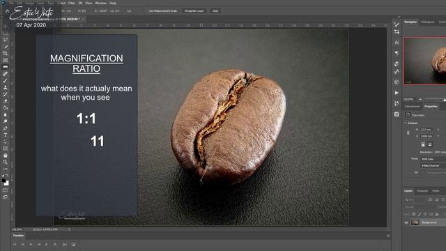 What is 1:1 Macro Magnification Ratio? Explained Simply, with Examples | Macro Photography