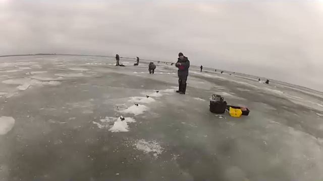 Закрытие корюшиного сезона 2013