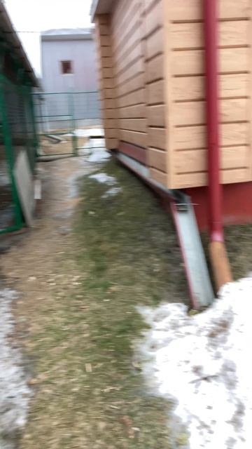 Весна среди зимы #зима #зима2025 #погода #деревня #жизньвдеревне #деревенскаяжизнь #домвдеревне