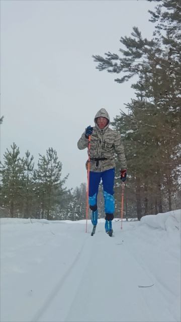 лыжи