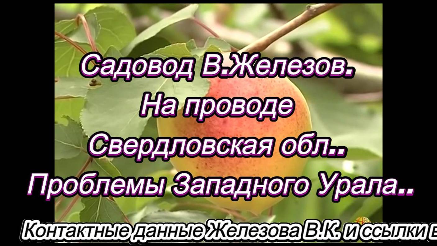 Садовод В.Железов. На проводе Свердловская обл.. Проблемы Западного Урала..