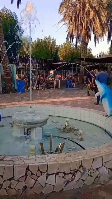 Dolphin 🐬 fountain ⛲ #dolphin #fountain #shorts #zoo #animals #shortvideo #viral #trending #reels
