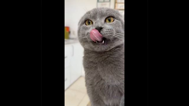 На приёме у врача