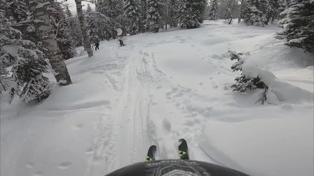 Freeride speed ski Шерегеш 2025