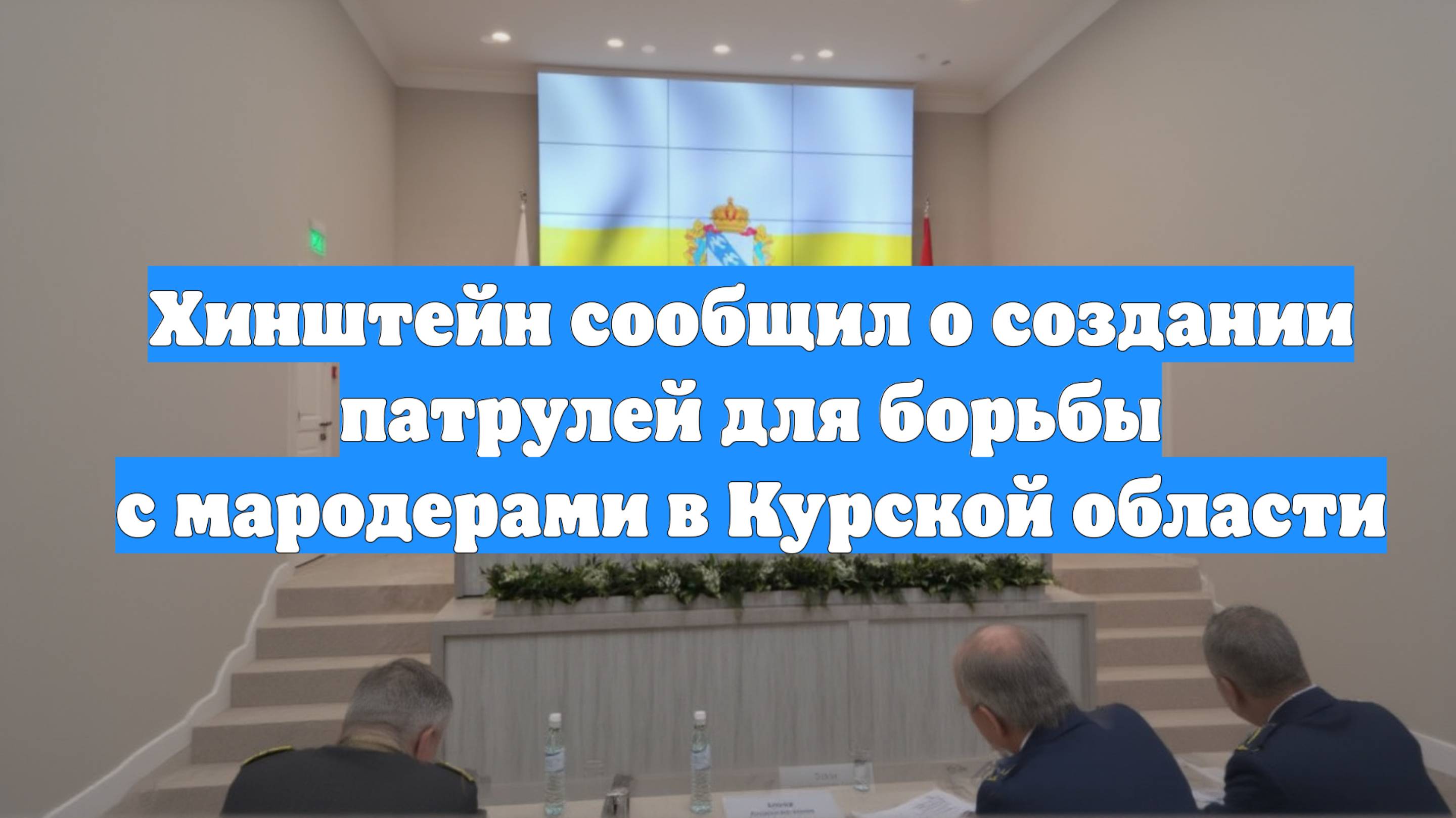 Хинштейн сообщил о создании патрулей для борьбы с мародерами в Курской области