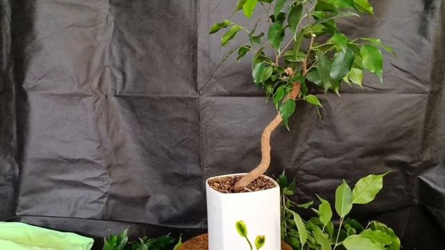 воздушная отводка 2 √2,√3