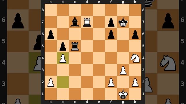 Anatoly Karpov-Vladimir Kramnik, Vienna 1996, Result: 1-0