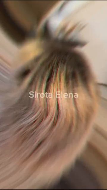 Наращивание для Вики с контурингом 200 прядей 60 см