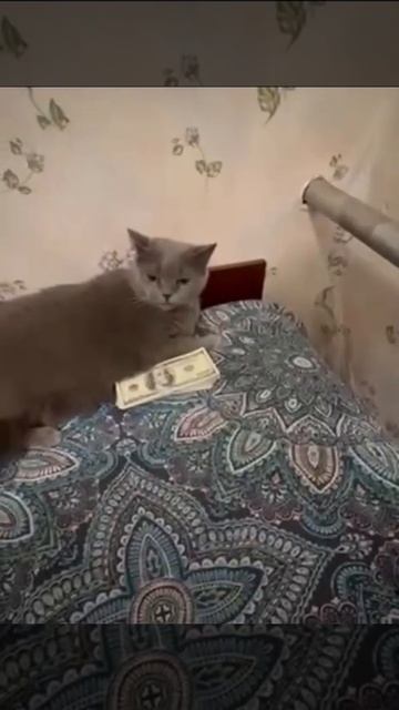неверный пароль