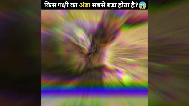 किस पक्षी का अंडा सबसे बड़ा होता है?😱 | #shorts #newfactsvideohindi #amazingfactsvideo