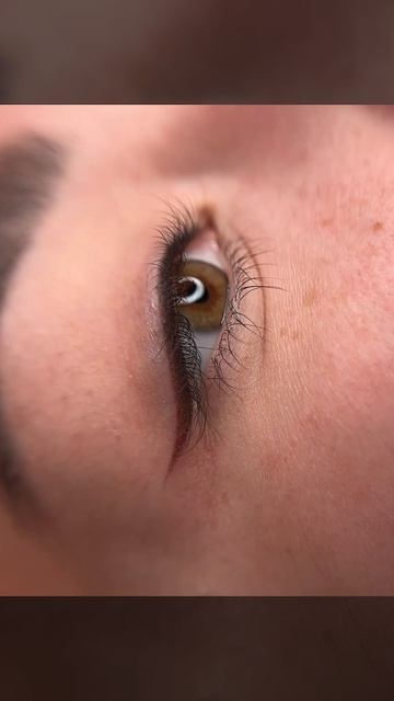 Перманентный макияж. Туапсе. Перманентный макияж бровей, межресничка, Брови, губы. Мастер макияжа