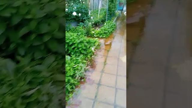 Топит дачу