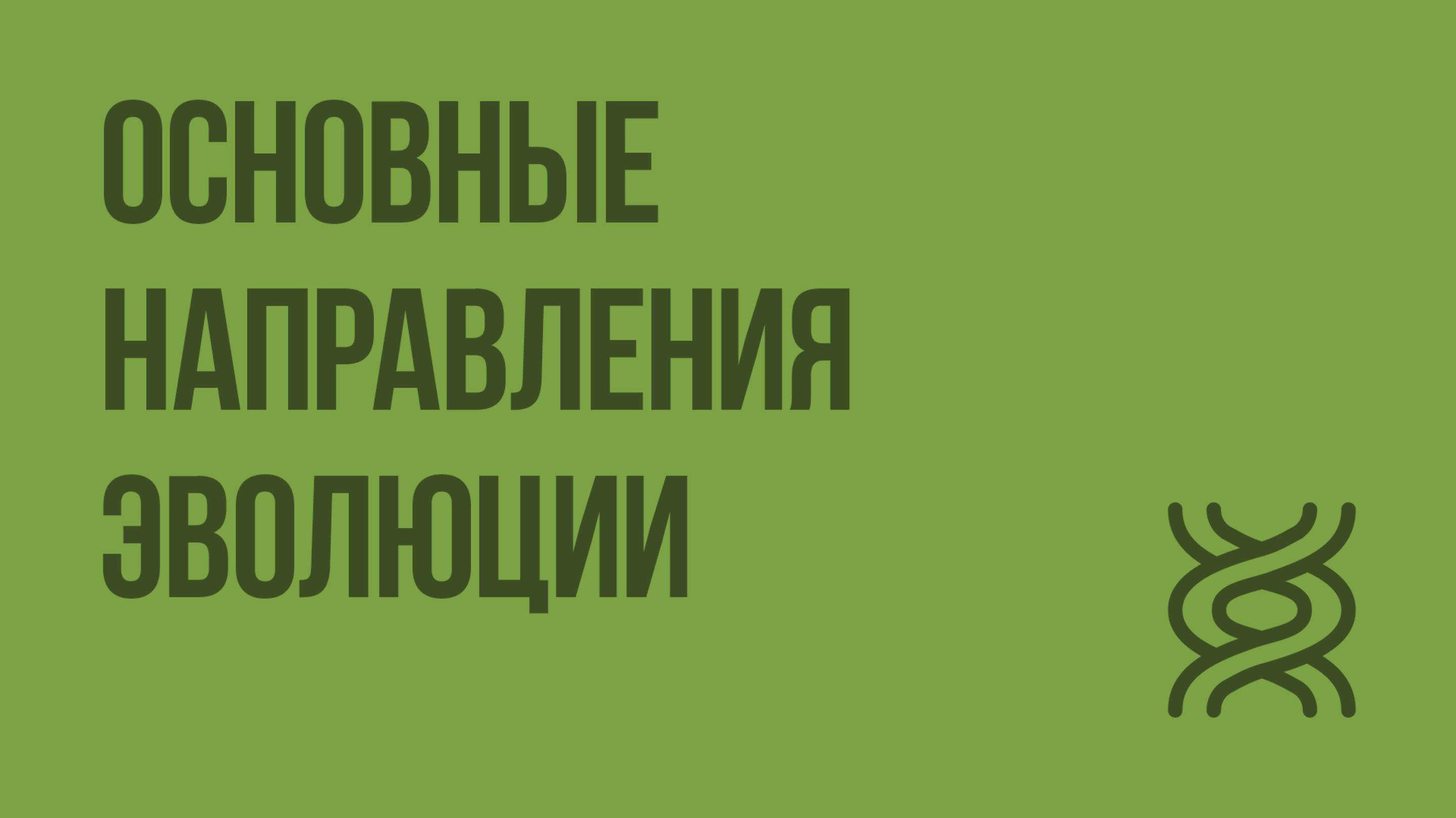 Основные направления эволюции. Видеоурок по биологии 9 класс