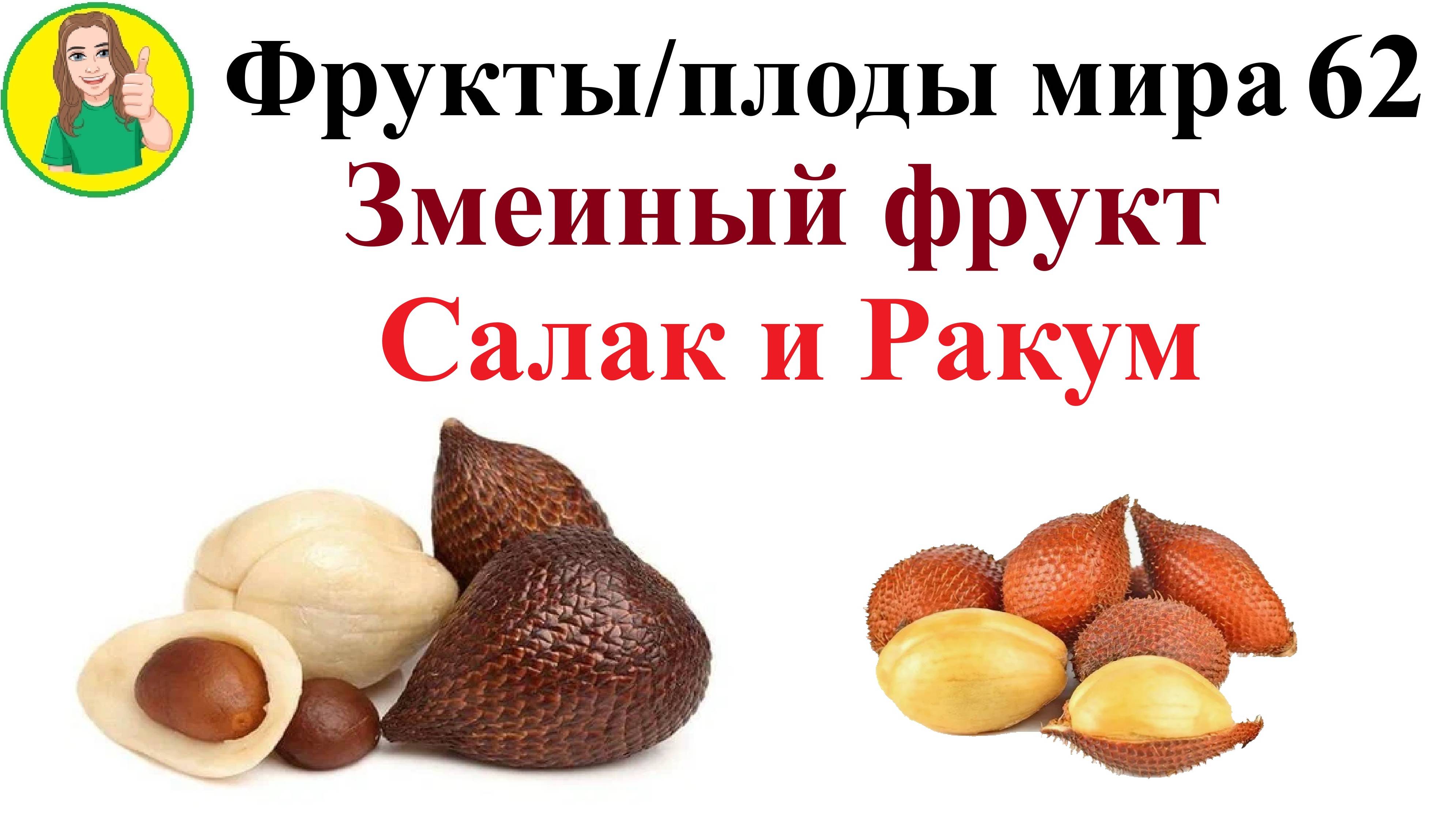 Фрукты - плоды мира 62 – Змеиный фрукт Сакак и Ракум Сыроедение Фрукторианство