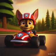Щенячий патруль paw patrol (Скай sky, гонщик, зума, маршал)