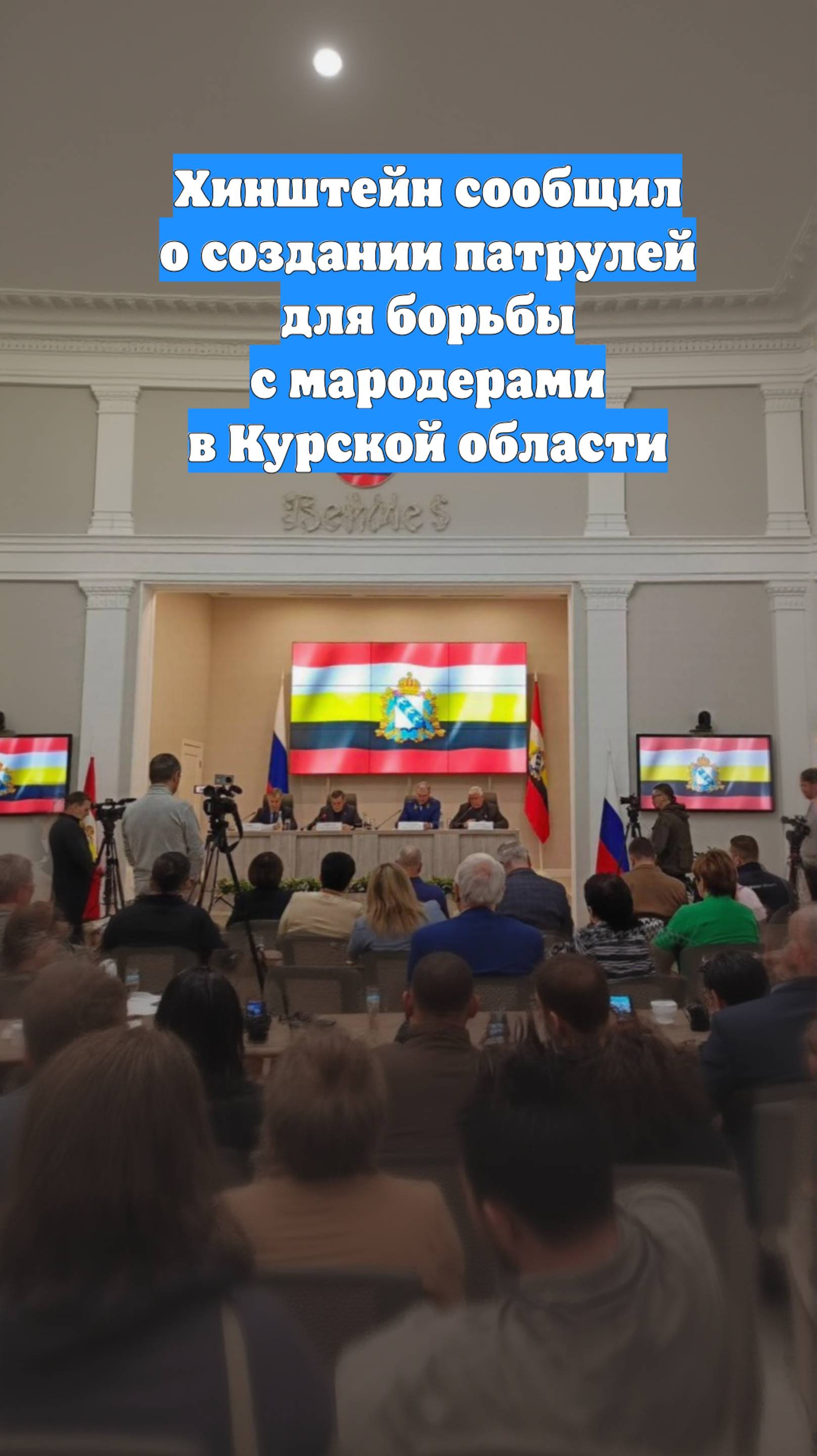 Хинштейн сообщил о создании патрулей для борьбы с мародерами в Курской области