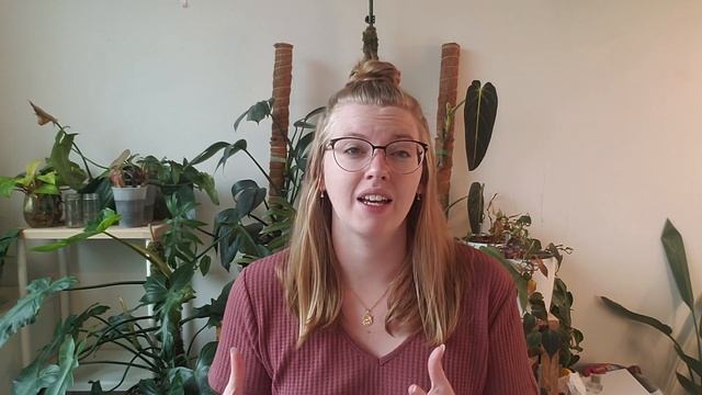 How to Sell Houseplants (without owning a shop)