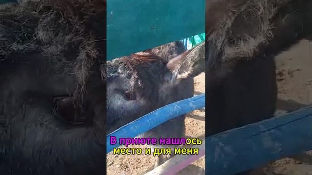 видео-сюрприз от нашего гостя