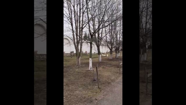 "Когда мы замолкаем." 02.02.2025 Лилия Филь ( Берёзкина)