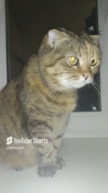 Если ваши гости засиделись.mp4