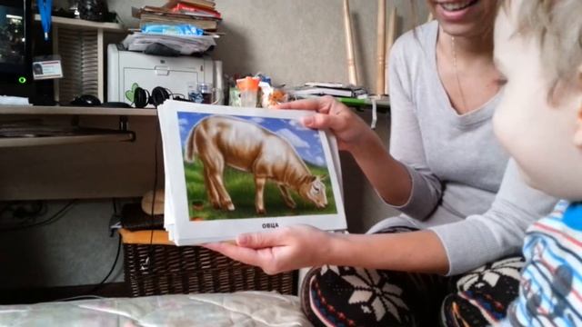 Как говорят животные?
