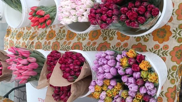 Тюльпаны уже на центральном рынке Бреста!!! Продажа весеннего цветка зимой...