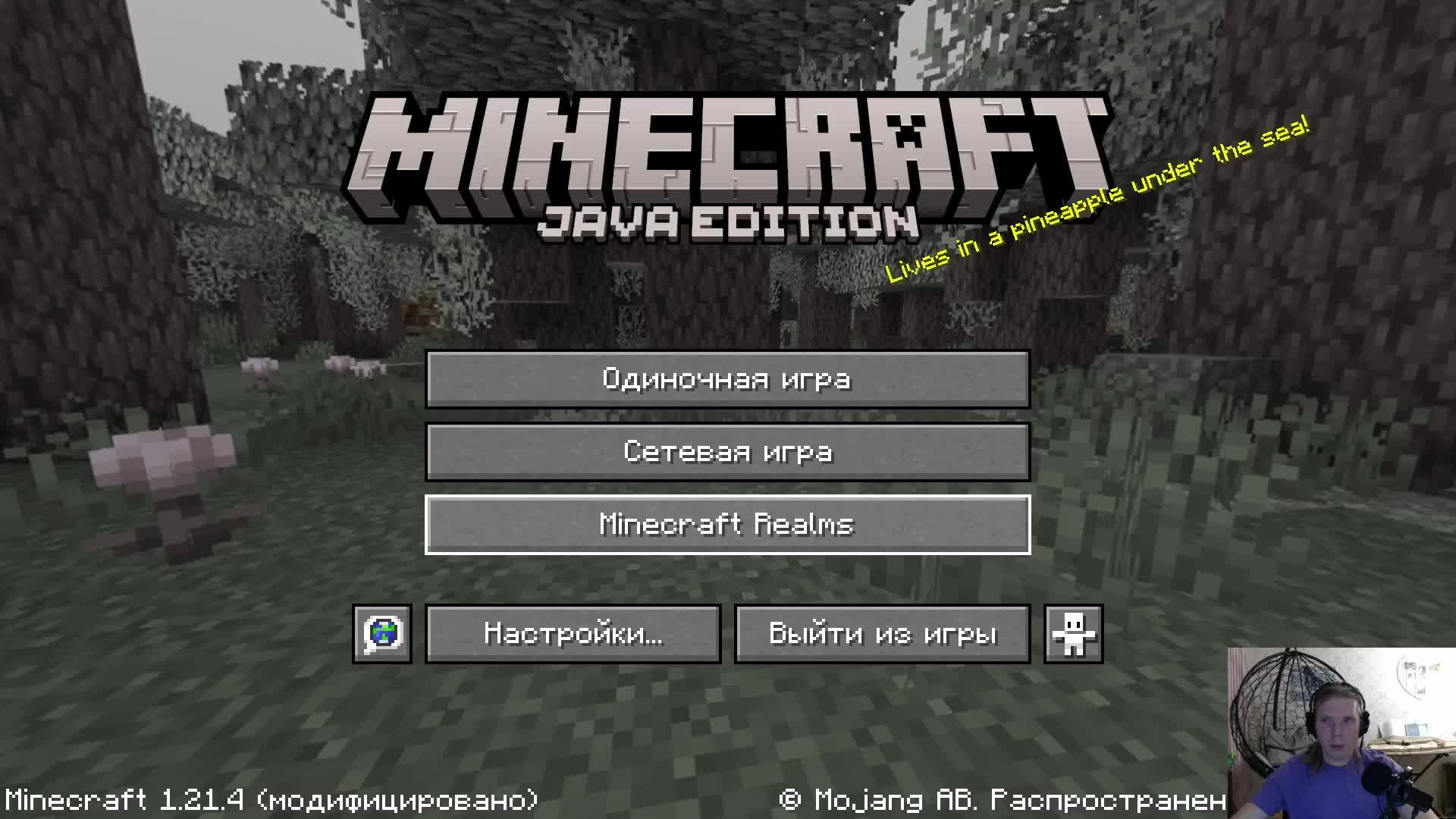 Minecraft Версия 1.21.4