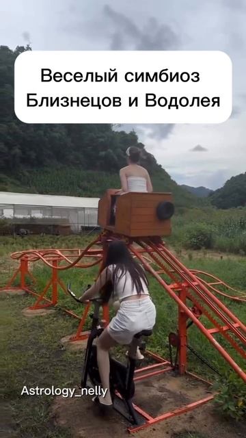 Водолей и Близнец