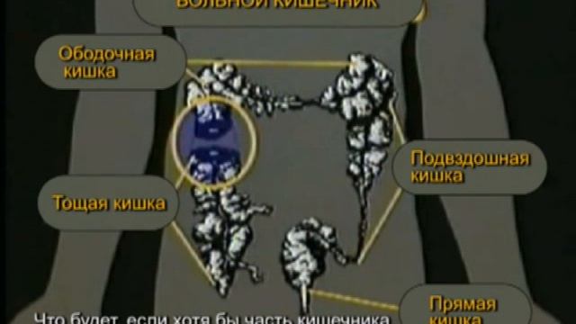Смерть притаилась в толстой кишке.