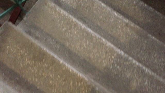 Теорема ЖКХ_Подъезд_2025.02.02__13-20