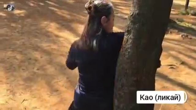 30 лабиринты кунг-фу