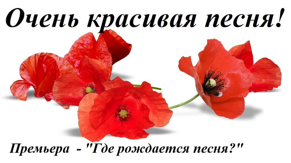 Премьера песни "Где рождается песня?" - ХИТ)))