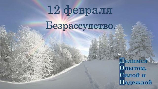 12 февраля. Безрассудство.