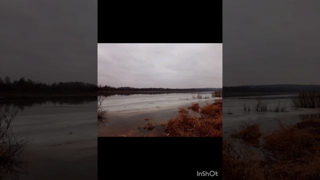 02-02-2025 прогулка в с. Телебукино 1 февраля