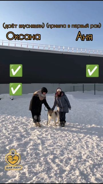 Приходите к нам на прогулки 🥰