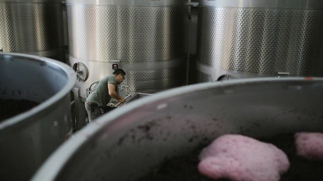 Paul Hobbs West Sonoma Coast Pinot Noir Tasting Note Video