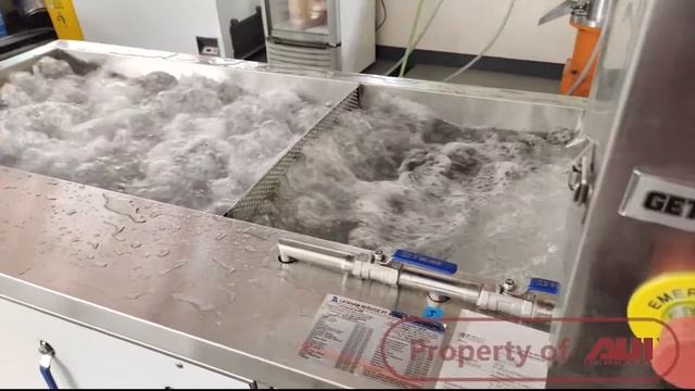 Review QX-22 Air Bubble Vegetable Washer Indonesia (Mesin Pencuci Buah Buahan dan Sayur Sayuran)