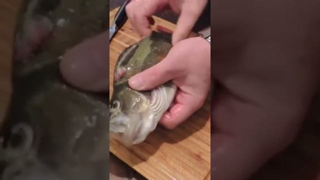 Учимся чистить окуня правильно. ☝️
https://t.me/FISHINGBACKPACK