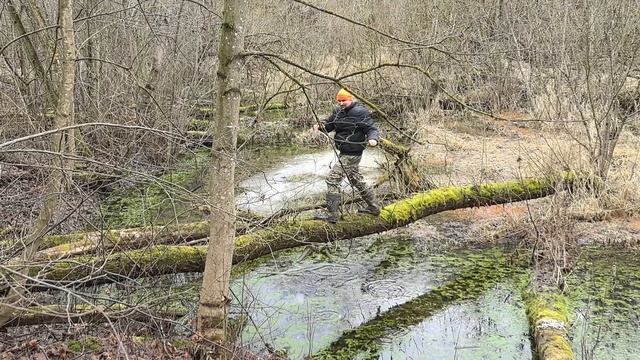 VID_20250201_143723.mp4