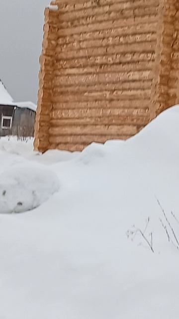 Дачные выходные