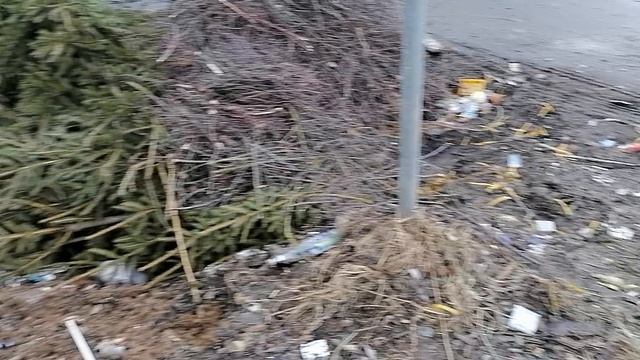 С.Ильинское 2.02.2025.Домодедово.Ремонт дренажа проходящего вдоль границы Ильинского храма и далее.