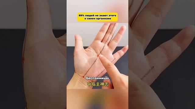 1000253872.mp4Рука человека