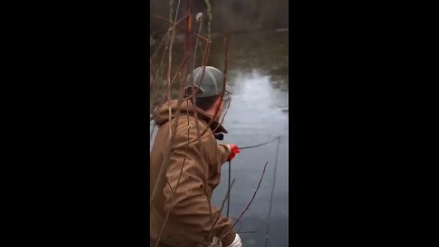 Выловил голову Сиреноголового из воды на магнитную удочку