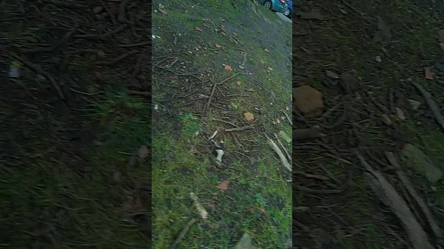монстры тревора хендронсена 2