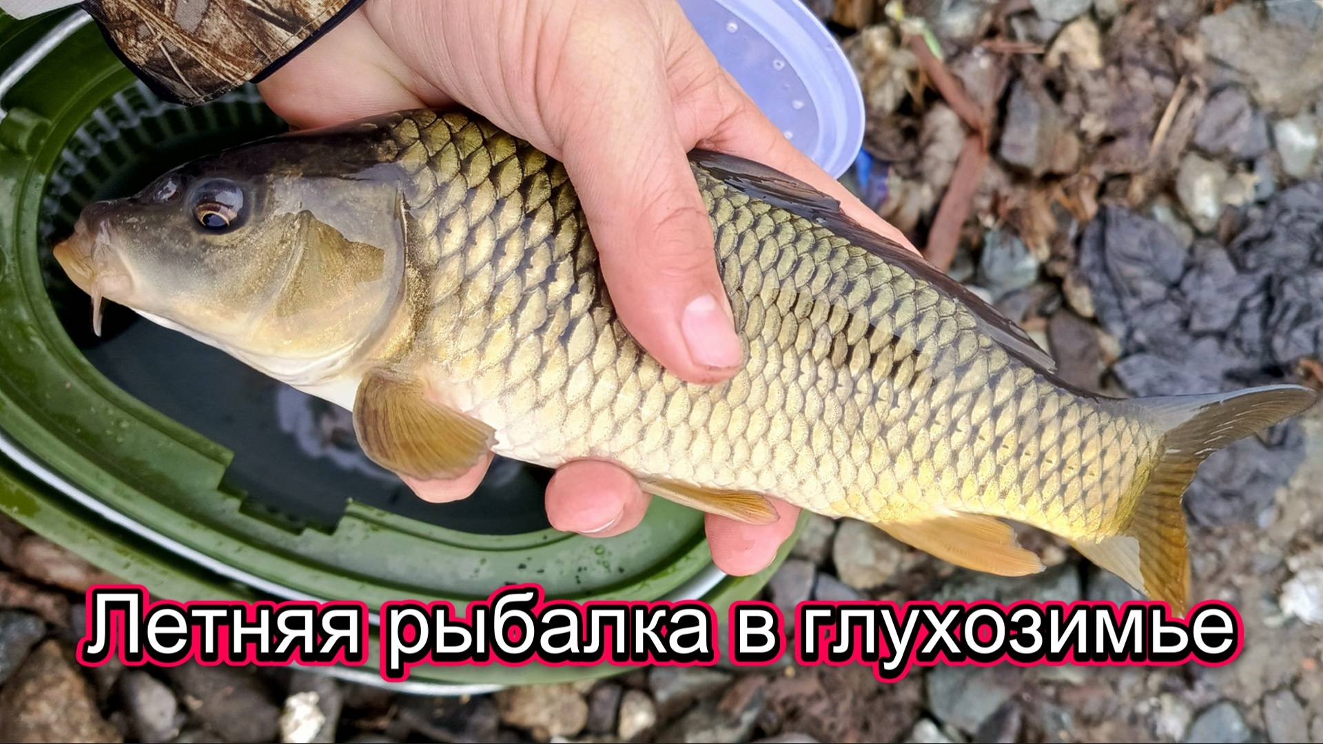 "Летняя" рыбалка в глухозимье