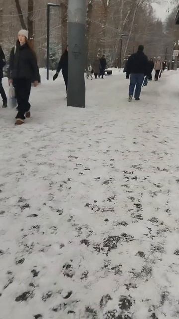 Мое видео