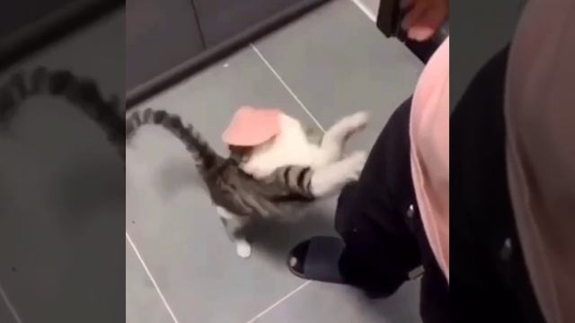 Есть только миг между прошлым и будущим. Именно он называется жизнь.