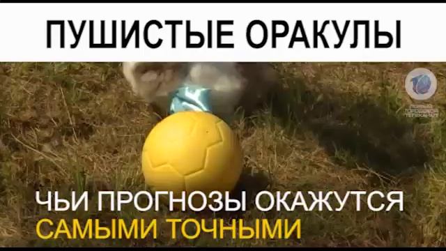 Смотрите сегодня