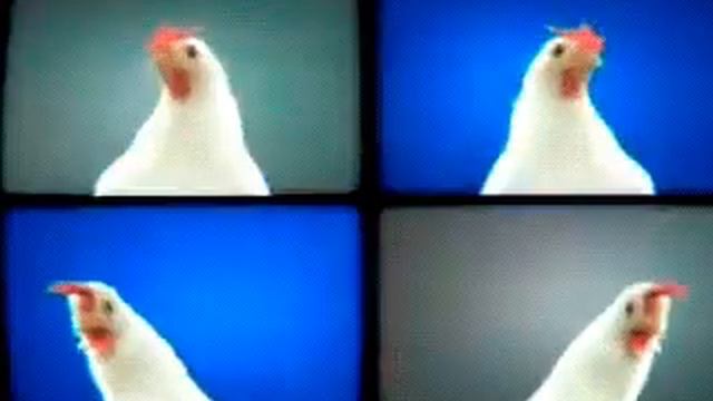 In Extremo -- Ai Vis Lo Lop(chicken edition)