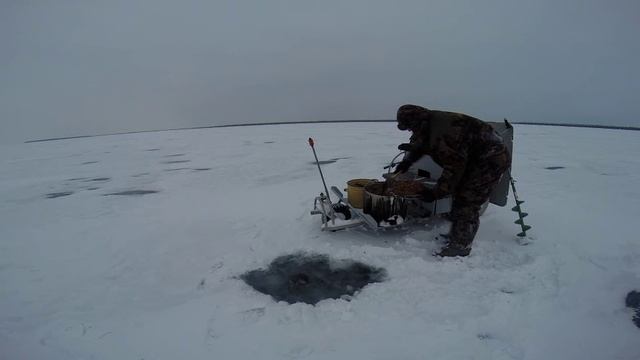 Укладка корма для организации рыбного  стола. Что и почему. Зимняя рыбалка. от Юрия Философа